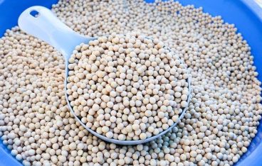 黒豆の摂取量はどれくらい？毎日健康に過ごすための摂取量