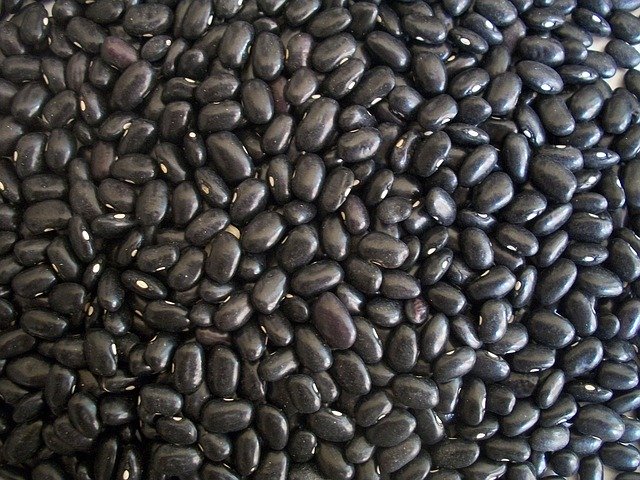 丹波種黒豆と丹波黒豆は違うものなのか?