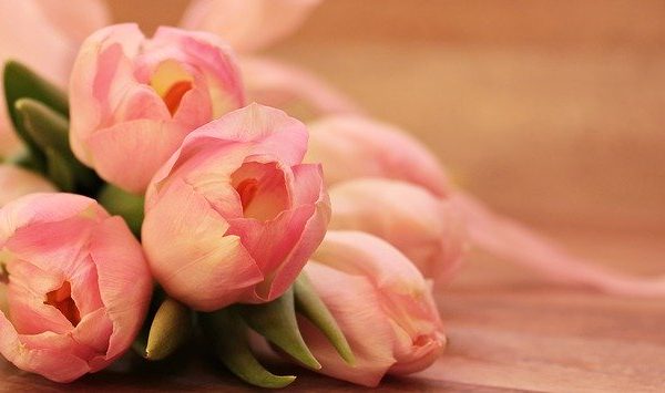 母の日に丹波篠山の黒豆を贈ろう！おすすめ黒豆ギフトベスト5