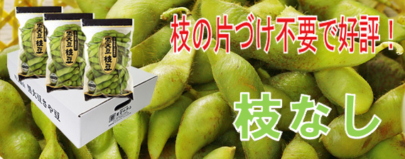 枝なし