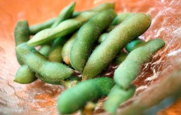 黒豆枝豆の日持ちは？長期間保存する方法とは？