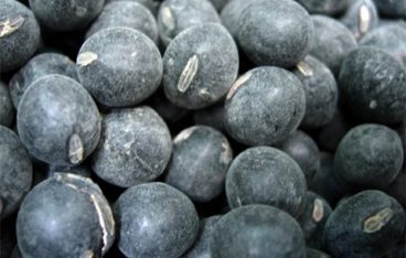 お歳暮で黒豆茶がおすすめ！通販サイトの選び方