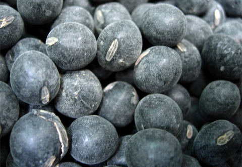 お歳暮で黒豆茶がおすすめ！通販サイトの選び方