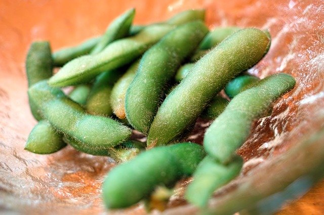 枝付き丹波黒豆枝豆ってどんなもの?