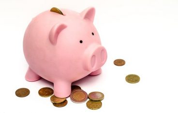 丹波黒豆枝豆の枝付きの平均価格は？スーパーの枝豆との違いは？