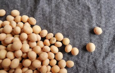 花粉症の救世主！大豆で免疫アップの方法は？