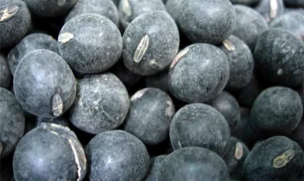 ノンカフェイン 赤ちゃんにいつから黒豆茶を与えてもいい 丹波篠山いのうえ黒豆農園