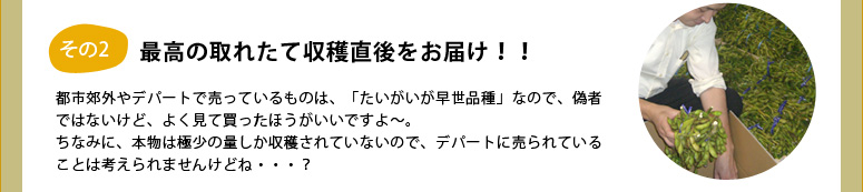 最高の採りたて収穫直後にお届け