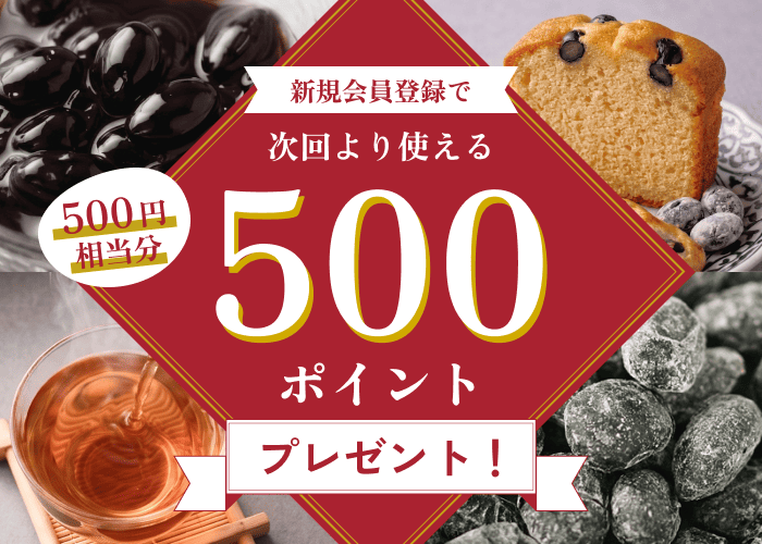 会員登録で500ポイント進呈！