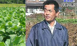 黒豆博士に聞こう！