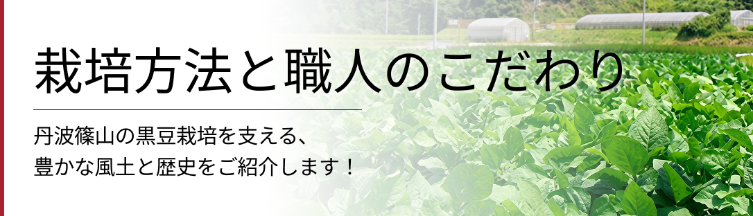 栽培方法と職人のこだわり